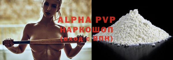 a pvp Бородино